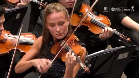 Mujer violinista
